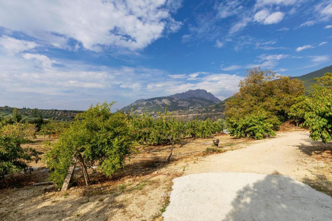 Casa Jurinea Alzar Hébergement de vacances *