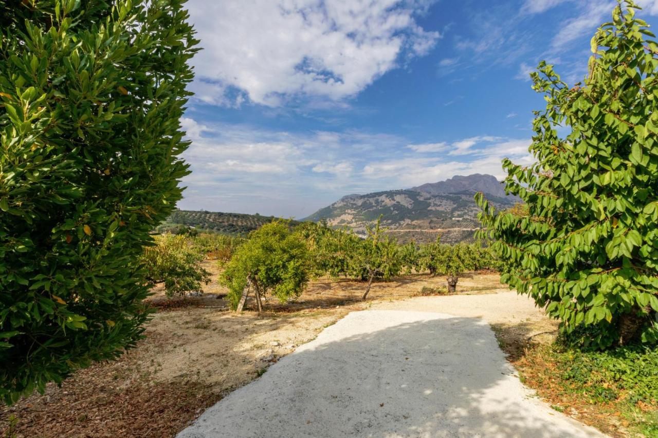 Casa Jurinea Alzar Hébergement de vacances *