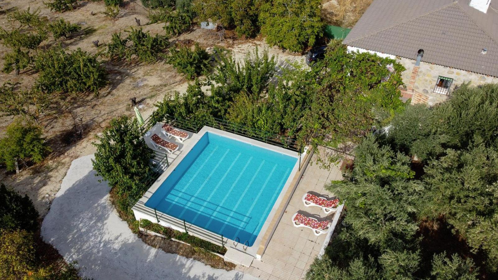 Hébergement de vacances Casa Jurinea Alzar *